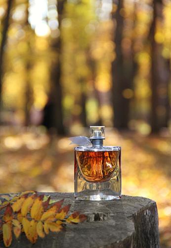 Lancôme La Vie Est Belle Eau de Parfum 75ml