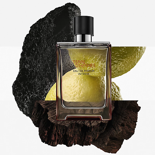 Hermès Terre d'Hermès Intense Eau de Parfum 100ml