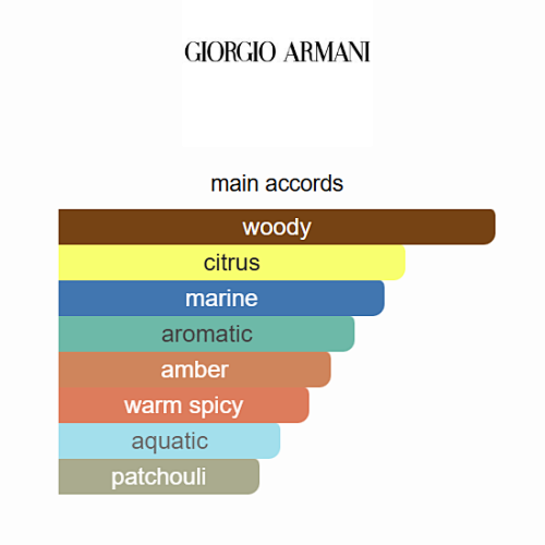 Giorgio Armani Acqua di Giò Absolu Instinct Eau de Parfum 125ml